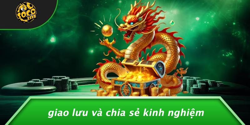 Cầu Thủ Đá Bóng: Bí Quyết Giữ Phong Độ Đỉnh Cao Mỗi Trận 3 Cầu Thủ Đá Bóng