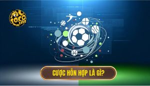 Cược Hỗn Hợp (Combo Bet) Là Gì_ - Định Nghĩa Chuẩn Từ Chuyên Gia Socolive