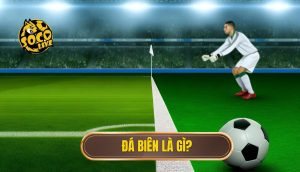 Đá biên là gì