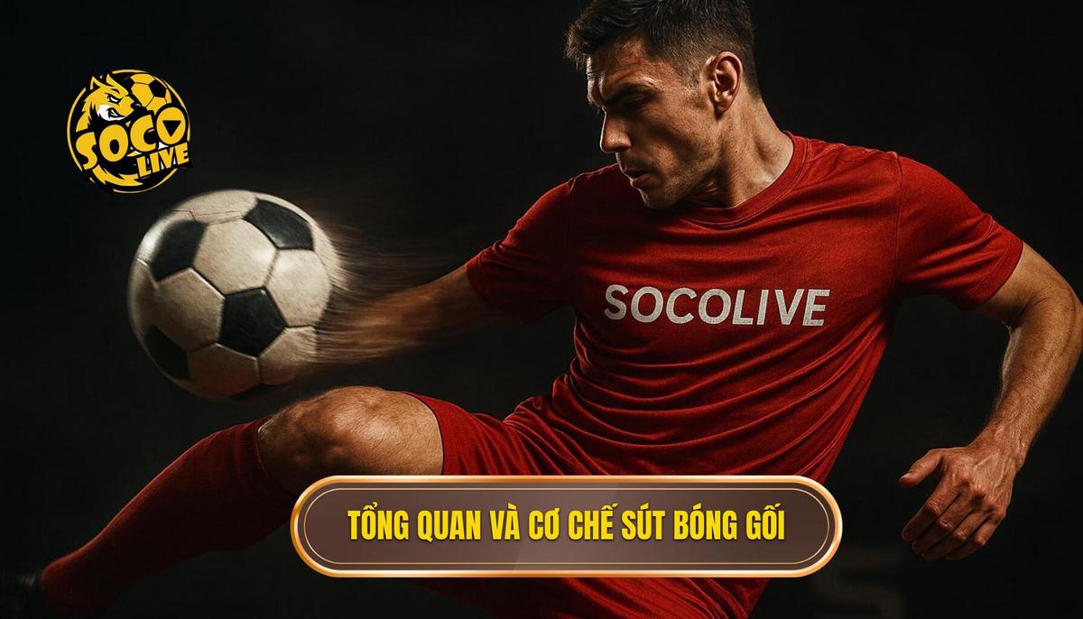 Phần 1_ Tổng quan và Cơ chế Vật lý của Kỹ thuật Sút Bóng Bằng Đầu Gối