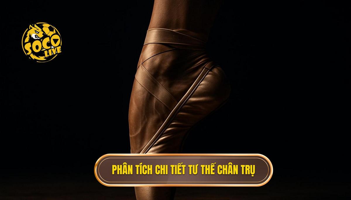Phân tích Chi tiết Về Tư Thế Chân Trụ